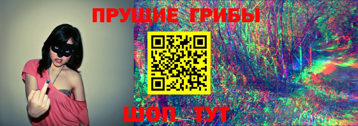 Галлюциногенные грибы Cubensis  Вход с VPN  Кушва  Псилоцибиновые грибы Psilocybe 