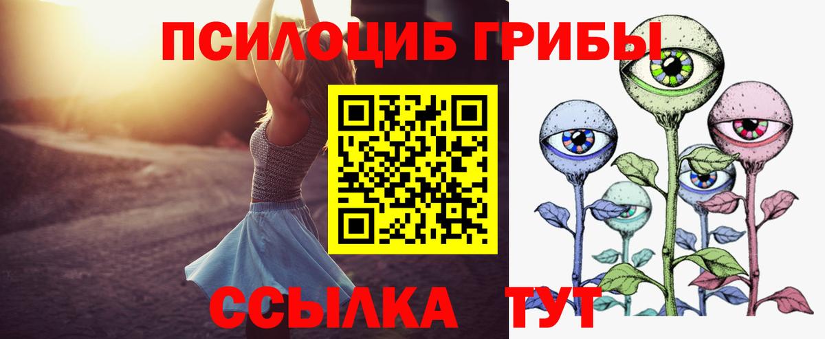 Галлюциногенные грибы Psilocybe Кушва